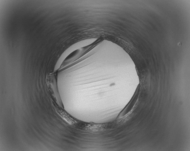 X0000081590186200702121523