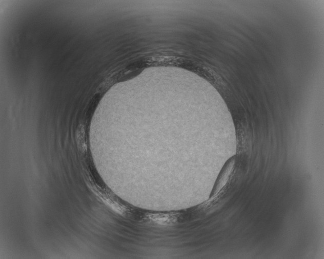 X0000081590187200702121523