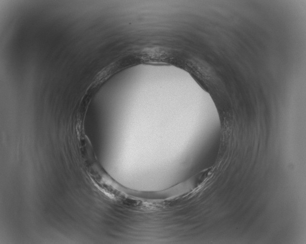 X0000081590188200702121523