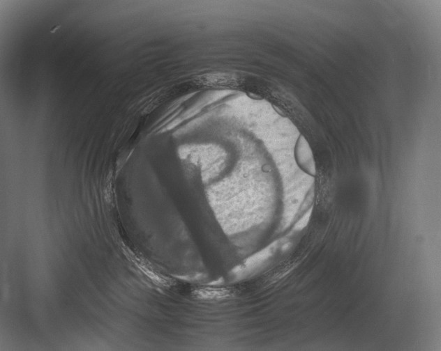 X0000081590189200702121523