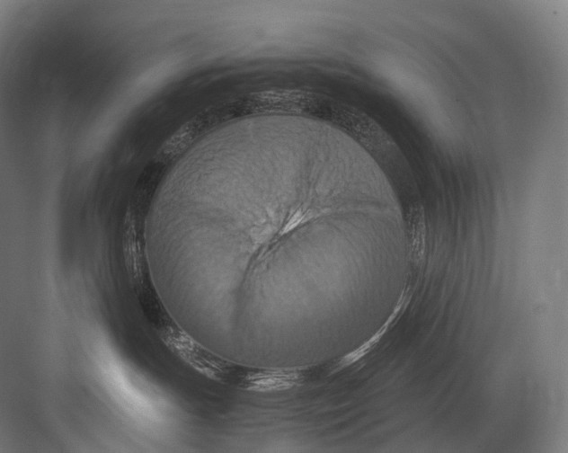 X0000081590191200702121524