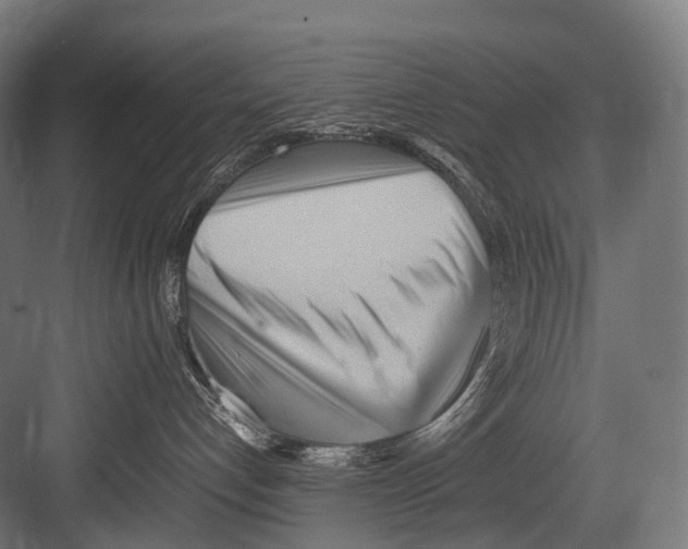 X0000081590192200702121524