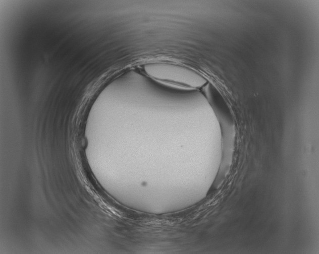 X0000081590193200702121523