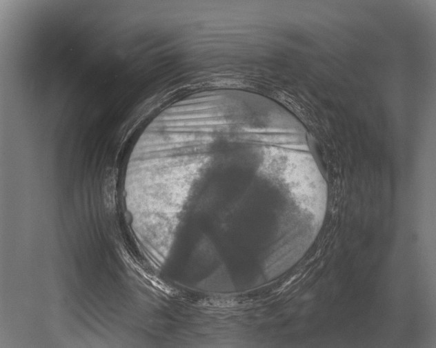 X0000081590194200702121523