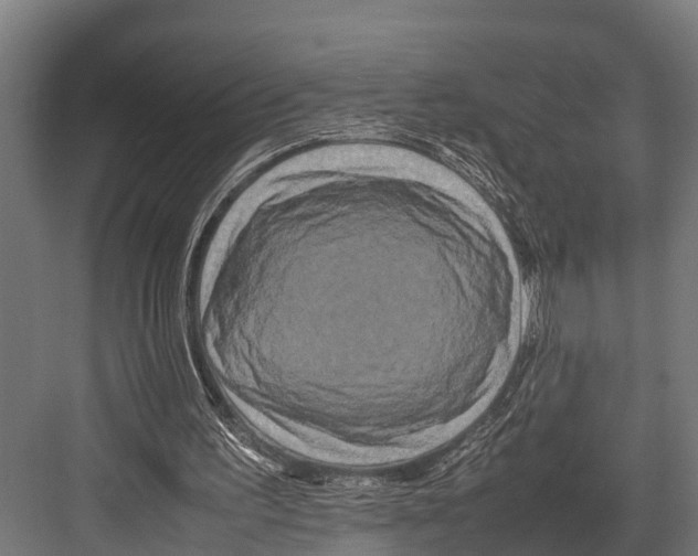 X0000081590195200702121523