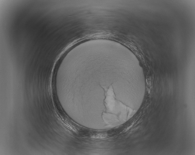 X0000081590196200702121523