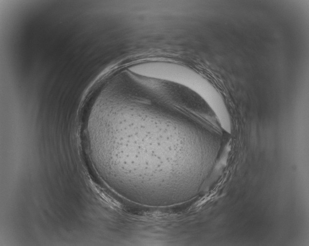 X0000081590197200702121523