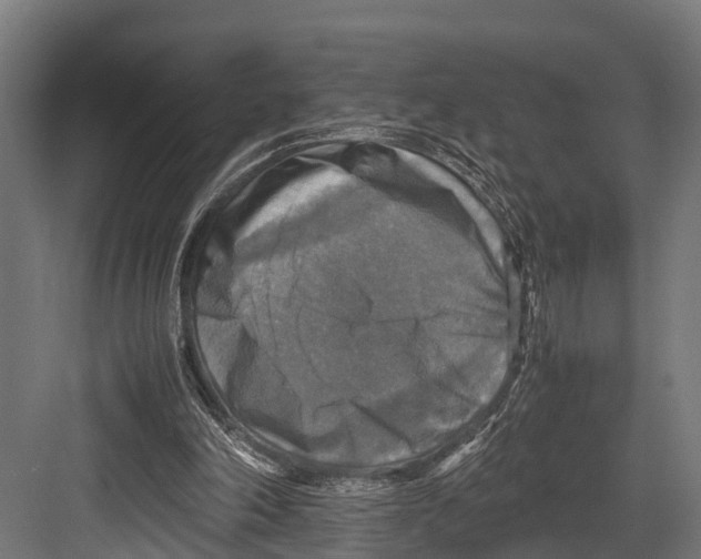 X0000081590198200702121523