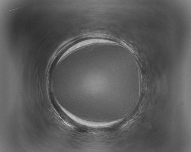 X0000081590199200702121523