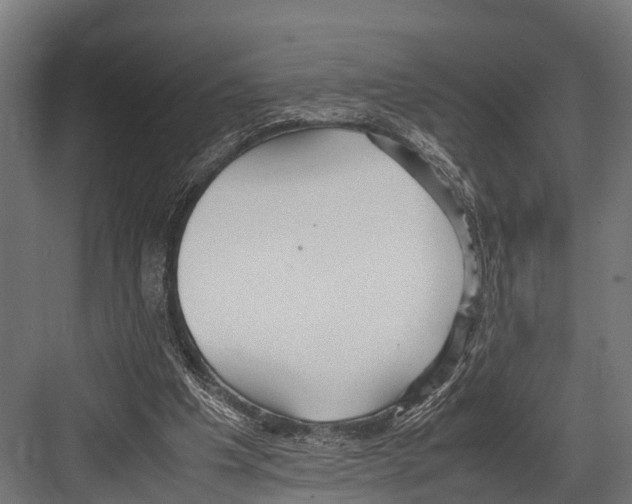 X0000081590201200702121523