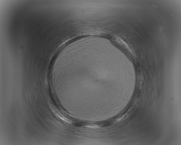 X0000081590203200702121523