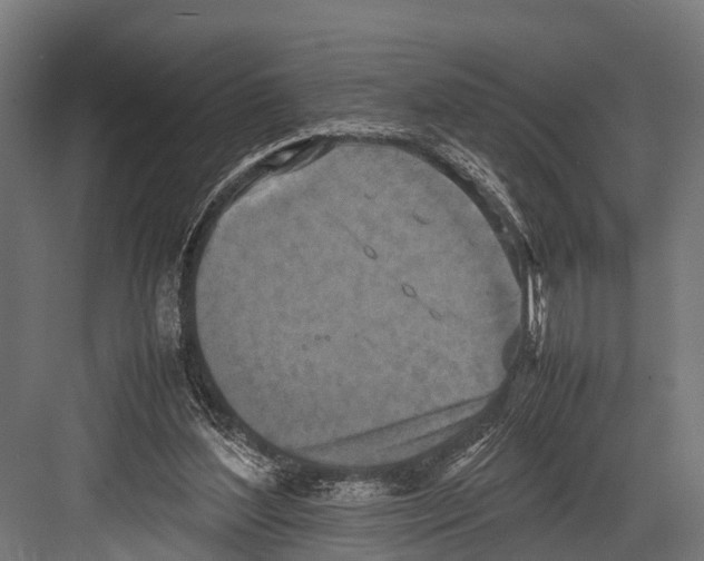 X0000081590204200702121523