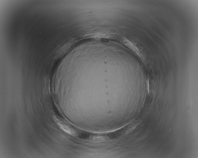 X0000081590205200702121523