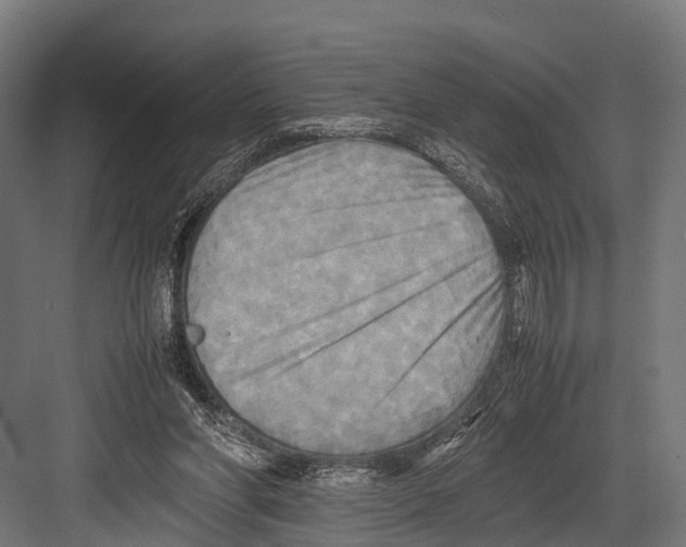 X0000081590206200702121523