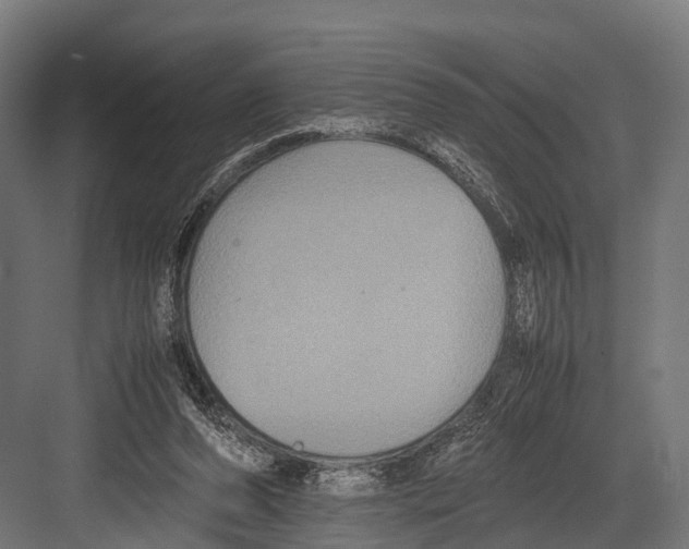 X0000081590208200702121522