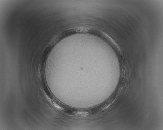 X0000081590209200702121522