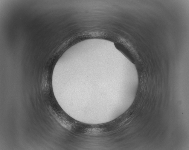 X0000081590212200702121522