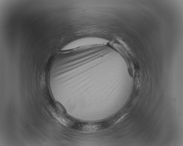 X0000081590213200702121522