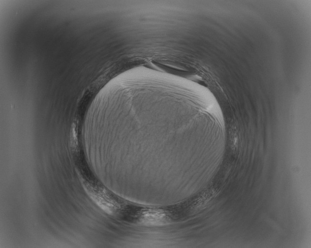 X0000081590214200702121522