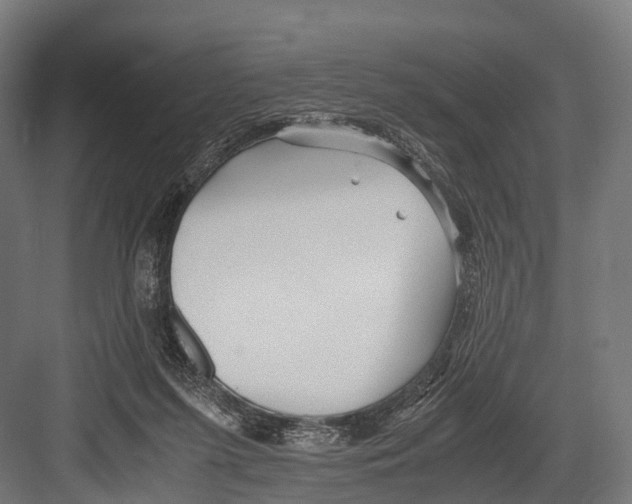 X0000081590215200702121522