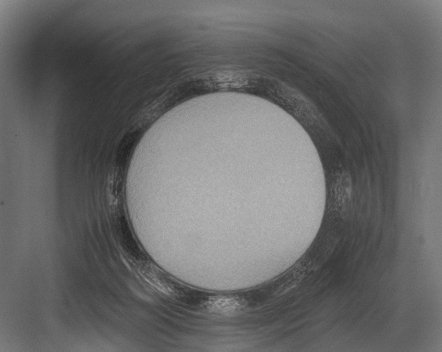 X0000081590218200702121522