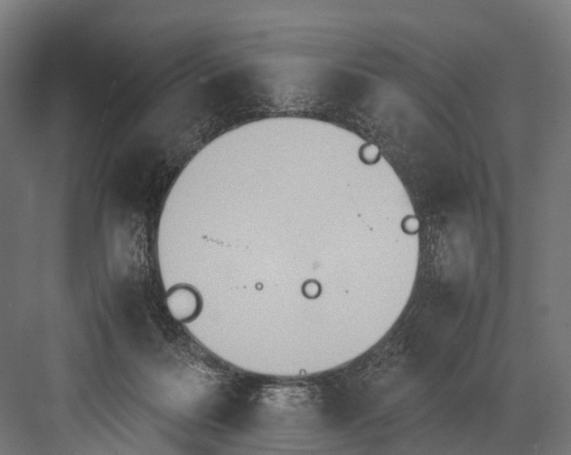 X0000081590220200702121522