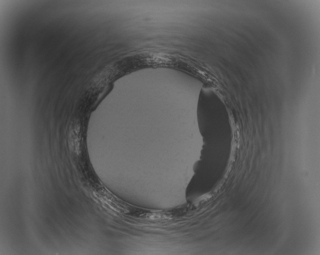 X0000081590223200702121522