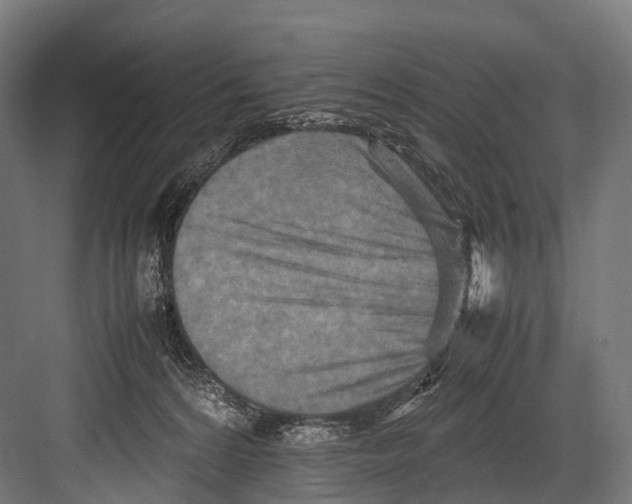 X0000081590224200702121522