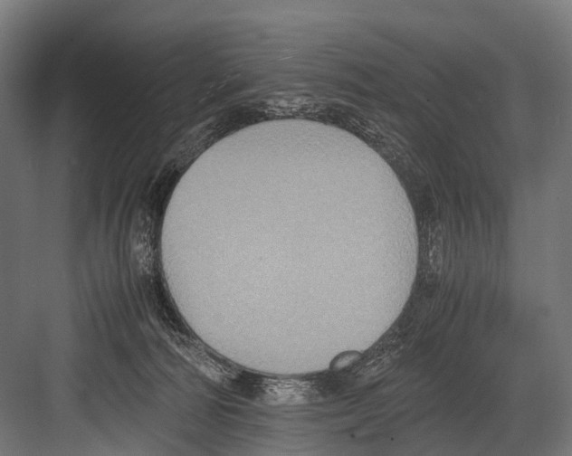 X0000081590226200702121522