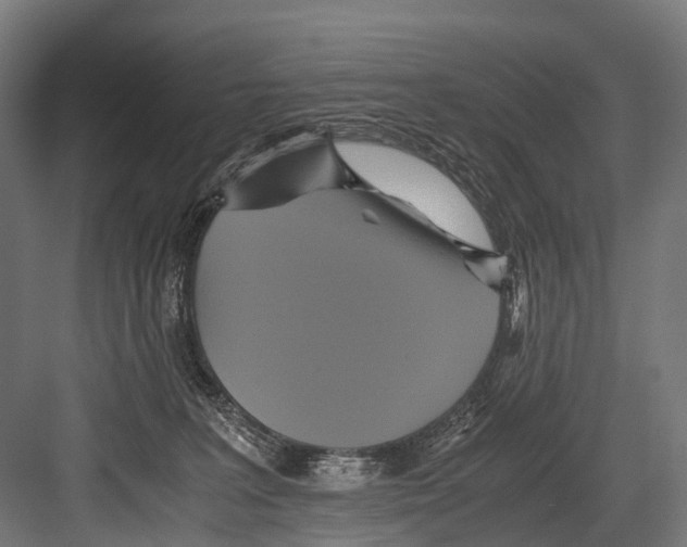 X0000081590227200702121522