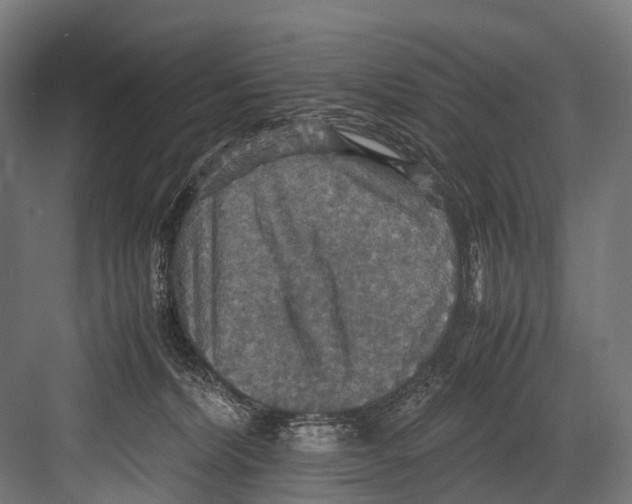 X0000081590228200702121522