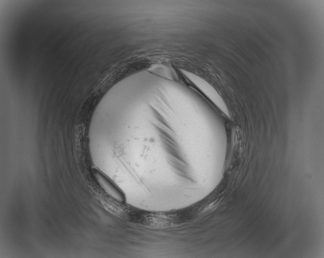 X0000081590229200702121522