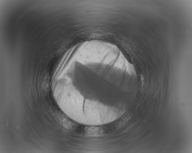 X0000081590230200702121522