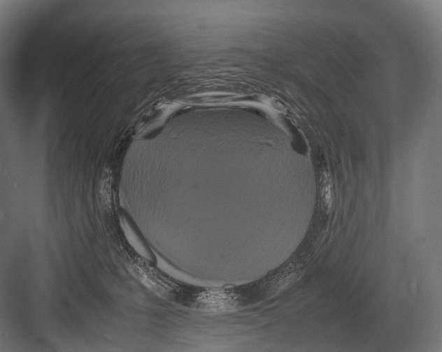 X0000081590231200702121522