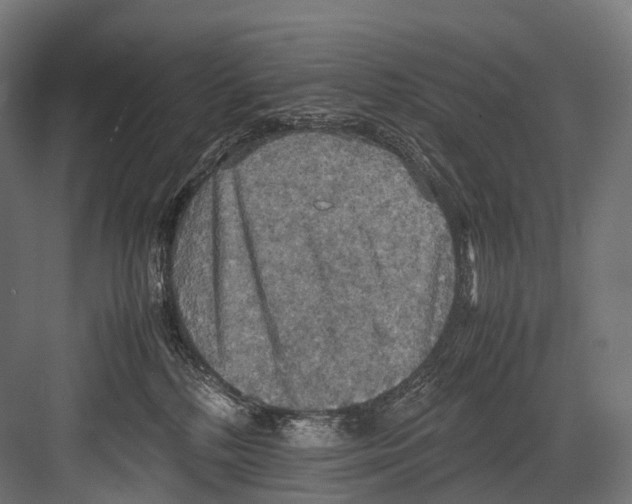 X0000081590232200702121522