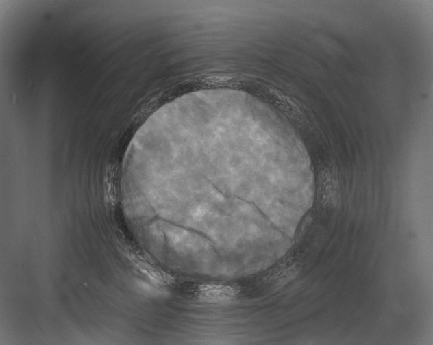 X0000081590234200702121522