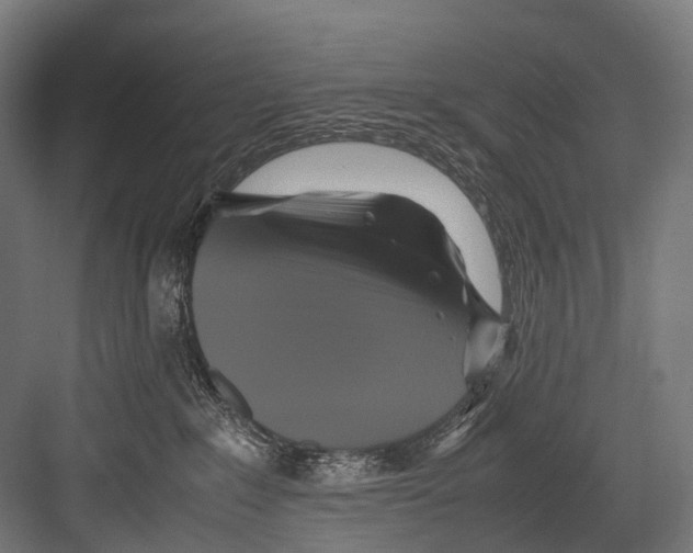 X0000081590235200702121522