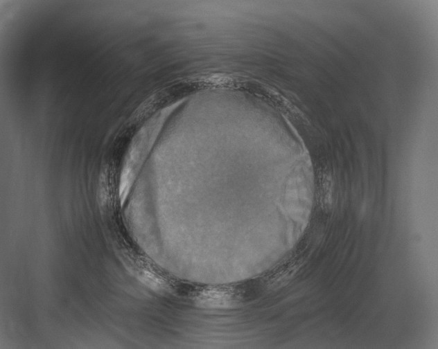 X0000081590236200702121522