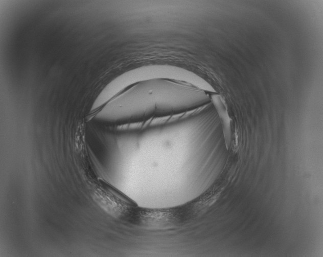 X0000081590237200702121522