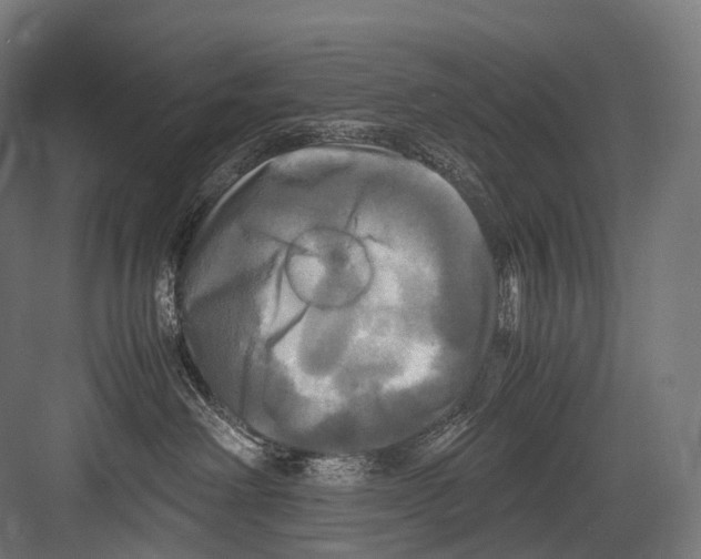 X0000081590238200702121522