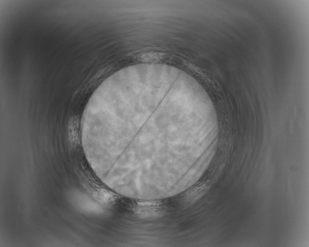 X0000081590240200702121522