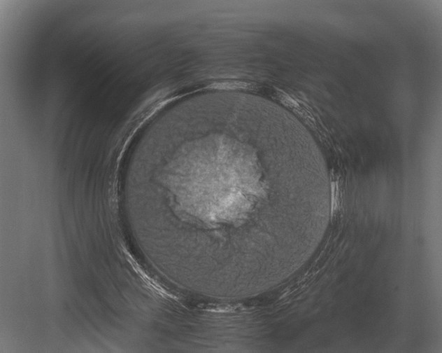 X0000081590243200702121521