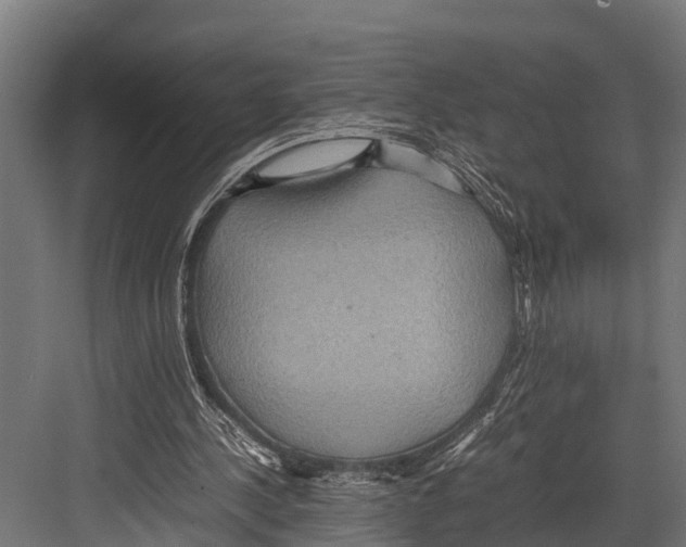 X0000081590244200702121521