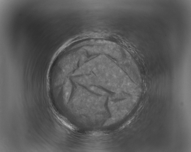 X0000081590246200702121521