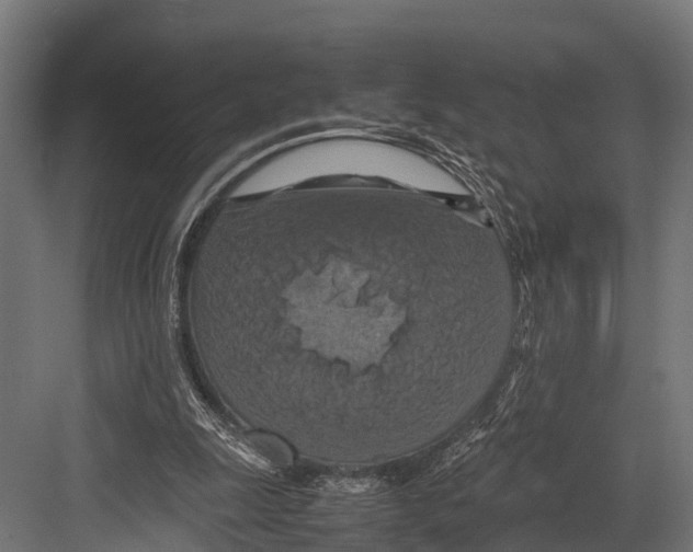 X0000081590247200702121521