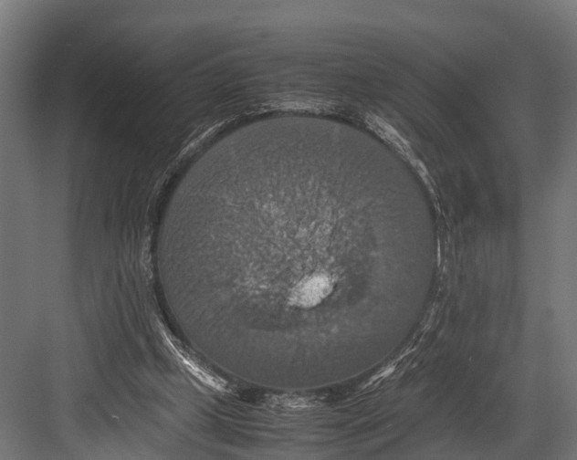 X0000081590249200702121521