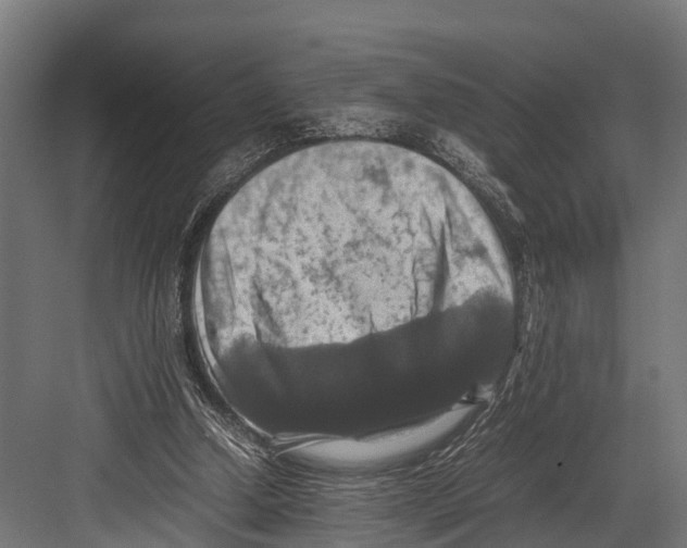 X0000081590250200702121521