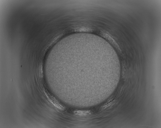 X0000081590251200702121521