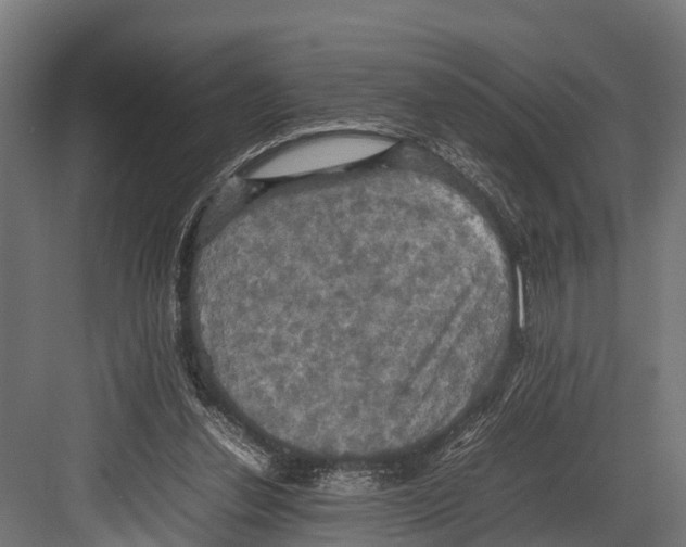 X0000081590252200702121521