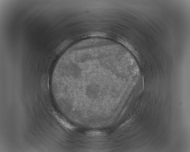 X0000081590253200702121521